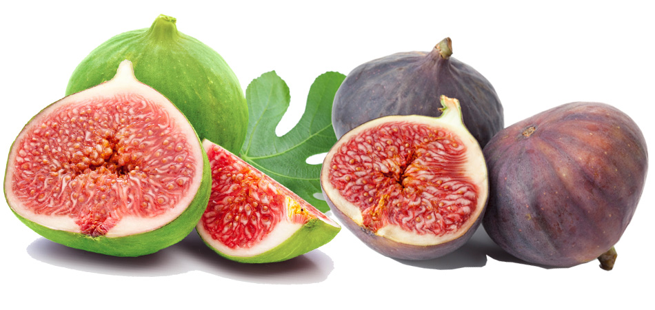 Fig |