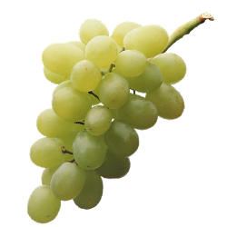 Turkey is the world's 5th biggest grape producers. 2/3 of the produced grapes are seedy and 1/3 of them are seedless. 