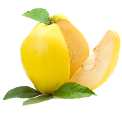 Quince grown in cold climates, has nice yellow looking, fragrant and heavy.