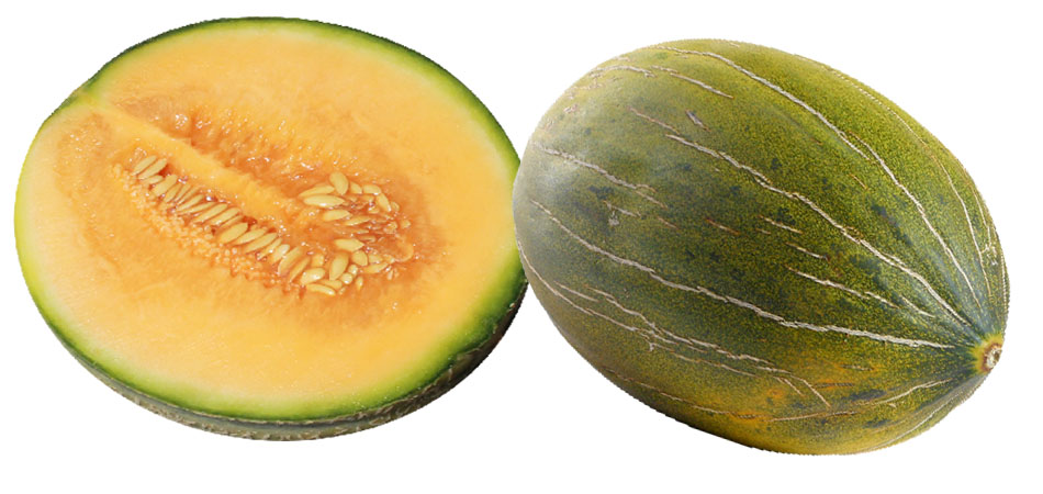Melon |